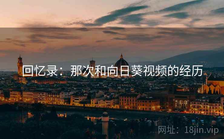 回忆录：那次和向日葵视频的经历
